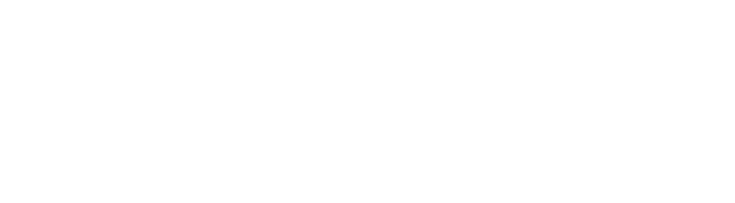 FormStory